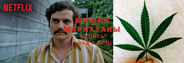МДПВ Ступино