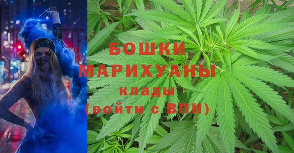 сатива Володарск