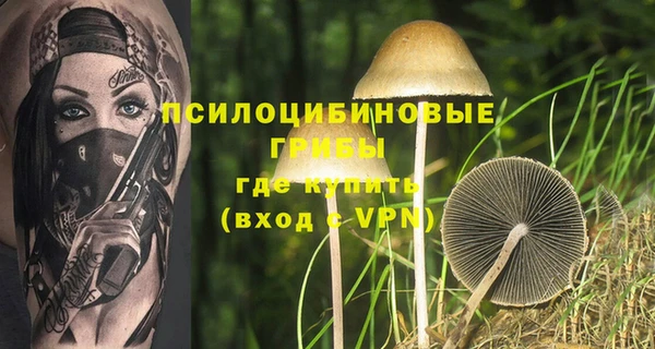 спиды Вязьма
