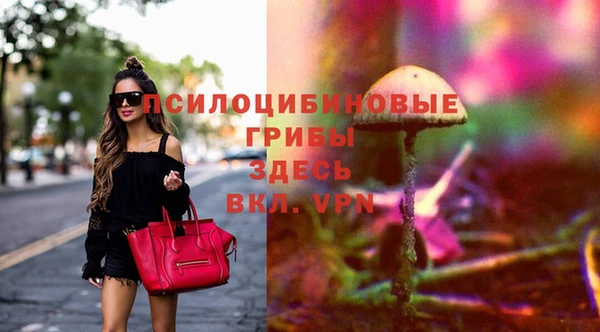 сатива Володарск