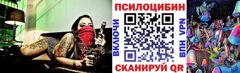 МЕГА как войти  Дятьково  Псилоцибиновые грибы Magic Shrooms  где найти наркотики 